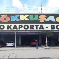 /Images/4042026204011152