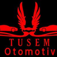 TUSEM OTOMOTİV SAKARYA SANAYİ MOTOR ŞANZIMAN TAMİR