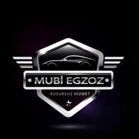 MUBİ EGZOZ KATALİZÖR PARTİKÜL EGR ADBLUE SAKARYA