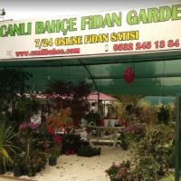 SAKARYA CANLI BAHÇE FİDANCILIK TOPTAN PERAKENDE 