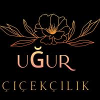 UĞUR ÇİÇEKÇİLİK BULANCAK CANLI ÇİÇEK ÜRETİM SATIŞ