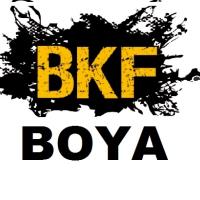 BKF BOYA HER NEVİ BOYA İŞLERİ YAPAN FİRMA