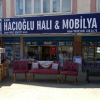 HACIOĞLU HALI & MOBİLYA SATIŞ MAĞAZASI ALAPLI