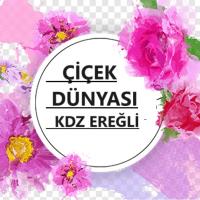 ÇİÇEK DÜNYASI KDZ EREĞLİ SATIŞ SİPARİŞ ALANLAR